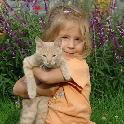 Girl holding yellow cat