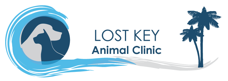 Lost Key Animal Clinic logo