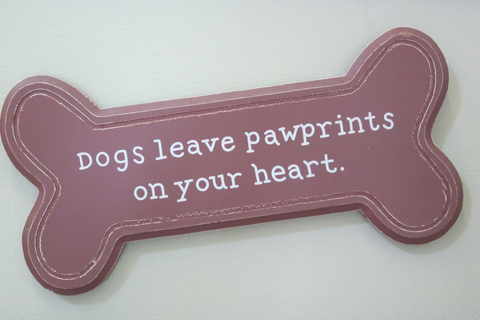 Dogs Leave pawprints on your heart